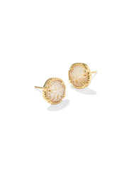 Sand Dollar Gold Stud Earrings