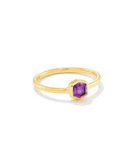Davie 18k Gold Vermeil Band Ring in Amethyst