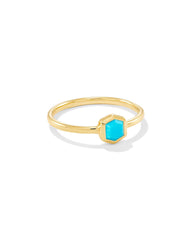 Davie 18k Gold Vermeil Band Ring in Turquoise